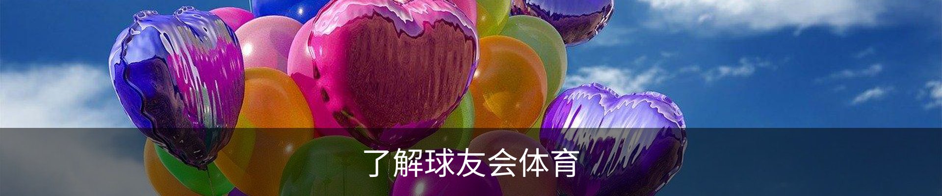 了解球友会体育